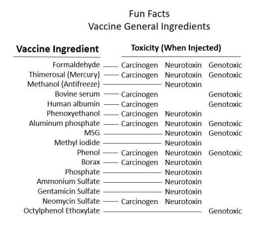 Flu vax ingredients