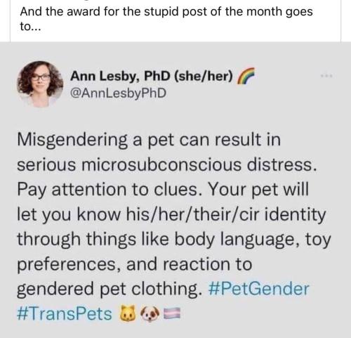 FB_IMG_1699889947627