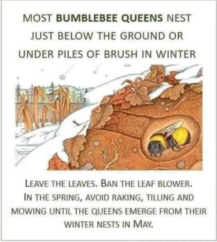 Screenshot_2023-11-21-04-06-15_kindlephoto-3005907