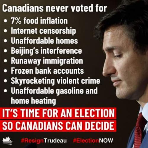 never voted