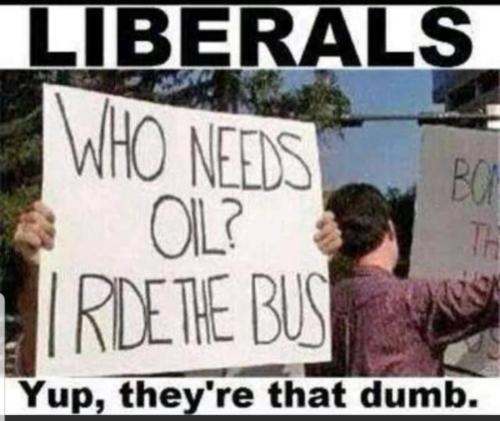 who needs oil we have bus