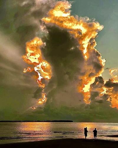 576B2268-36A0-4FB6-8F87-0890FD5EEC3B