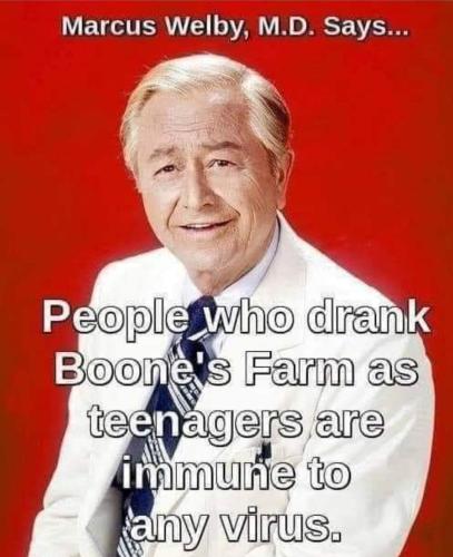 Screenshot_20231125_035220_Facebook