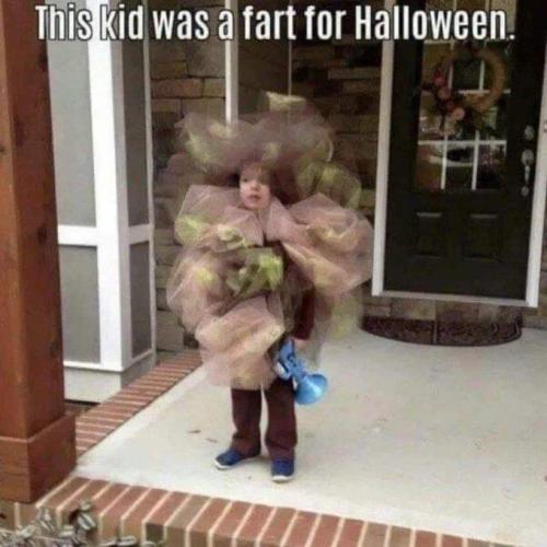 FB_IMG_1699843428051