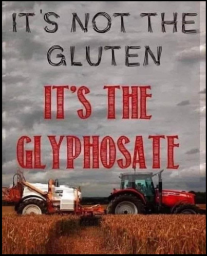 Screenshot_2023-11-16-18-32-54_kindlephoto-252929134