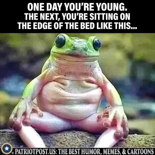 one day you are young-