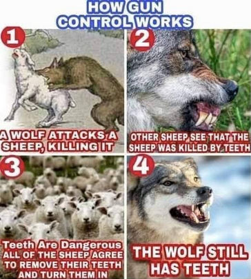 how gun control works02