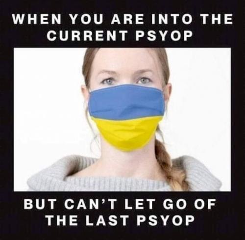 Facebook Lemmings Crowd Psychosis