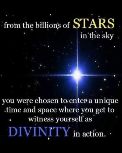 .         393779131_64573464010