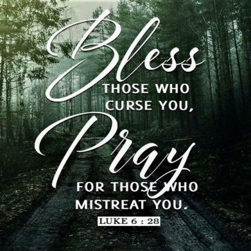 bless those that curse you