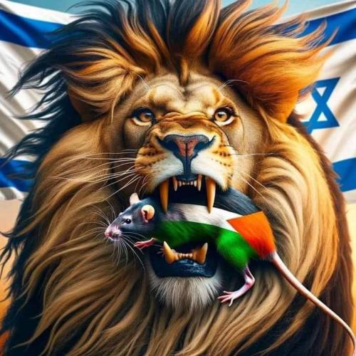 FB_IMG_1698896313812