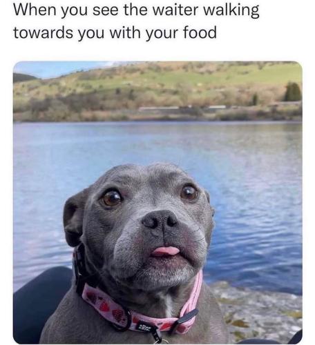 FB_IMG_1699493153634