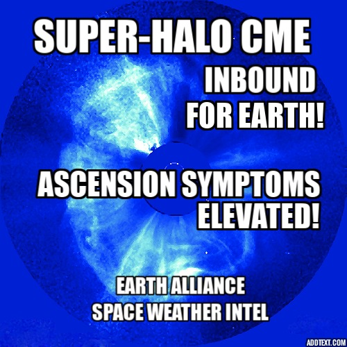 .      312910013_11556575753