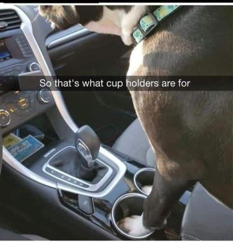 FB_IMG_1700261302401