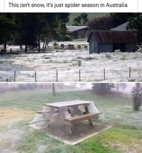 FB_IMG_1701029168794