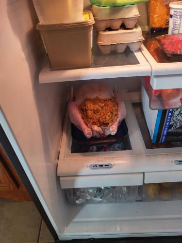 IMG_20231123_095621_HDR