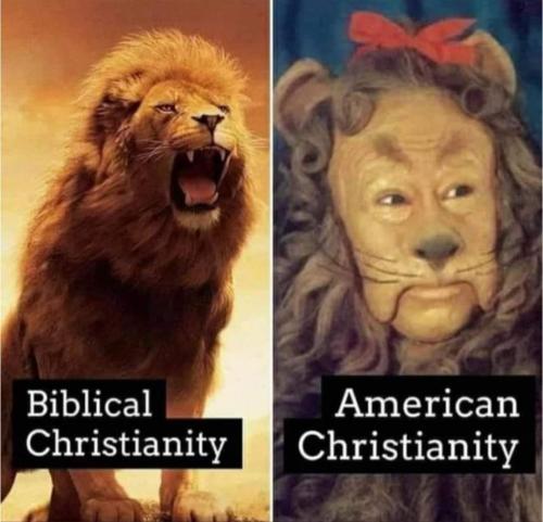 aa0a19ff-df4e-430b-9894-ada9e3c4f5ee