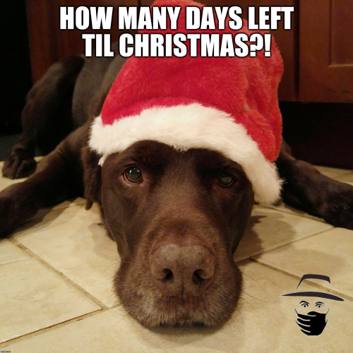 image_2023-11-28_082040504