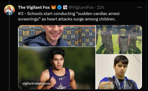 Screenshot 2023-11-13 083945