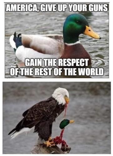 eagle food