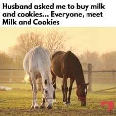 FB_IMG_1699102147159