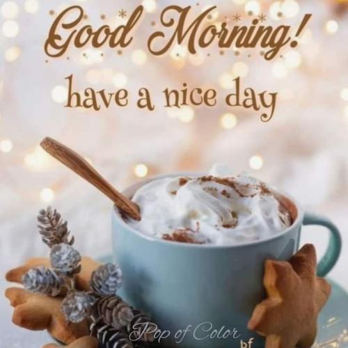 FB_IMG_1700932304779