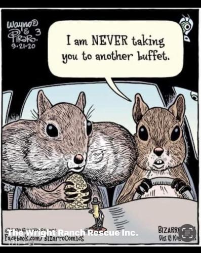 FB_IMG_1699663340257