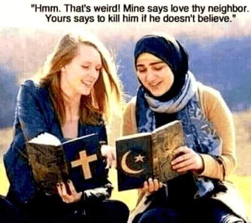 FB_IMG_1700127885152