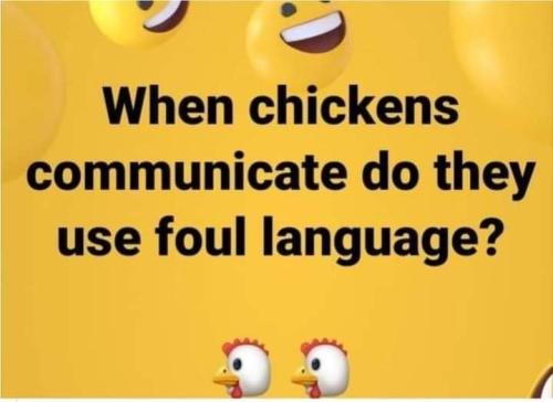FB_IMG_1698902234035