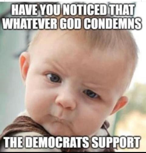 Screenshot_20231027_195220_Gallery