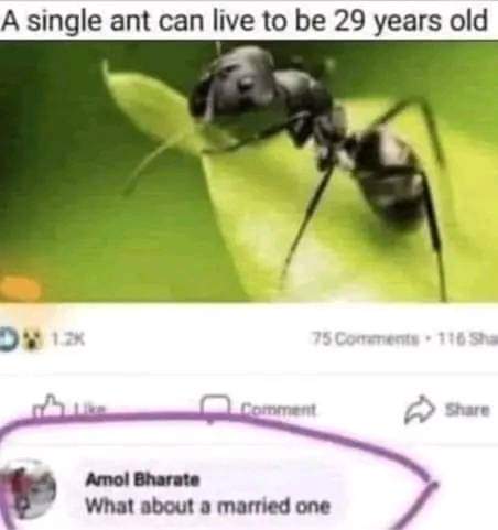 FB_IMG_1700671251599