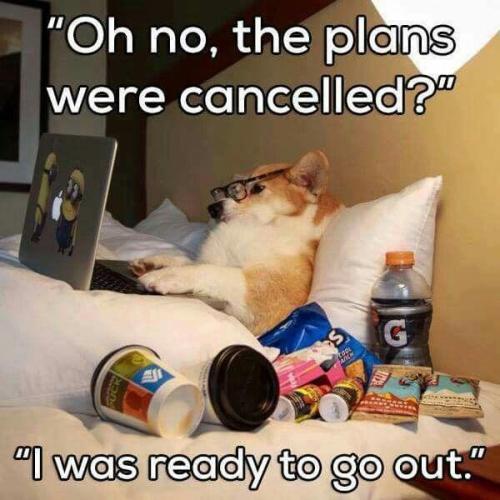 sngine_e2dd46a129b6f0aeda17867cf23b2d86