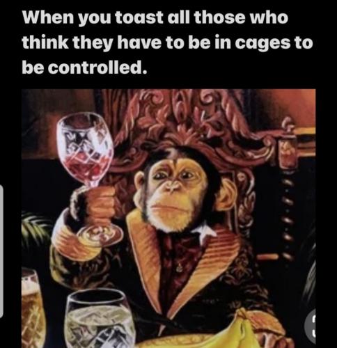 20231113_114223