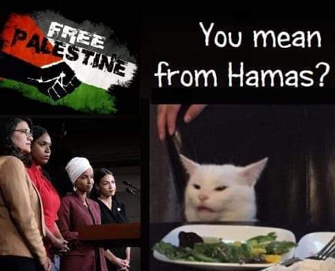 FB_IMG_1699392446728