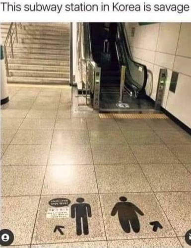 FB_IMG_1698958510536