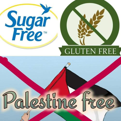 FB_IMG_1700499785855