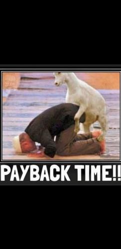 FB_IMG_1699815421946