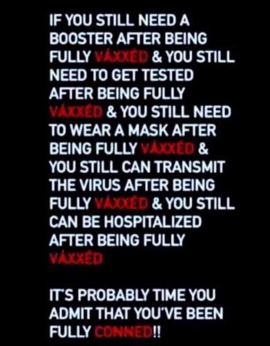 FB_IMG_1700498051609