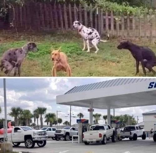 Mall parking lot crawlers