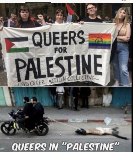 palestine gays