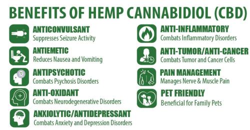 Organic CBD Hemp Oil Benefits