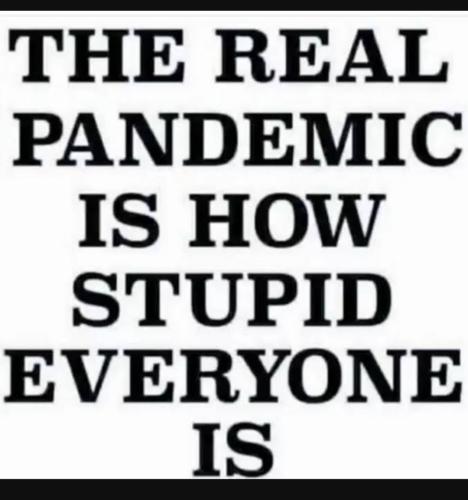 Screenshot_20231103_143248_YouTube