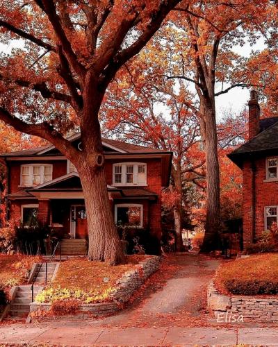 683DECD9-4C7C-4BD0-8988-3BF50801163E