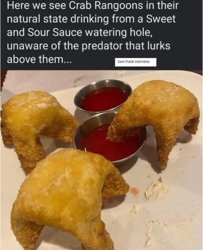 FB_IMG_1699976316612