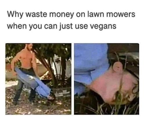 FB_IMG_1700949284319