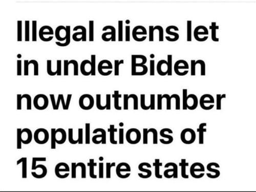 illegals m