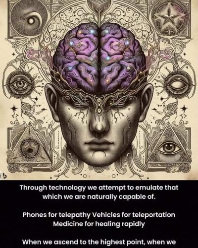 .      312910013_11556575753