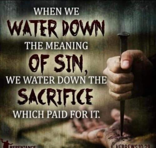 FB_IMG_1699195508199