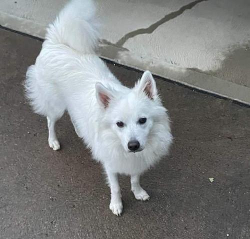 a0092bd8-afe6-48fa-a830-f614ae62cb58