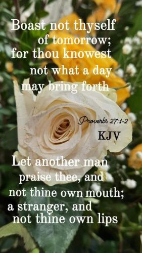 6f9e8035-0278-4bdc-a4e1-c991087f09b9